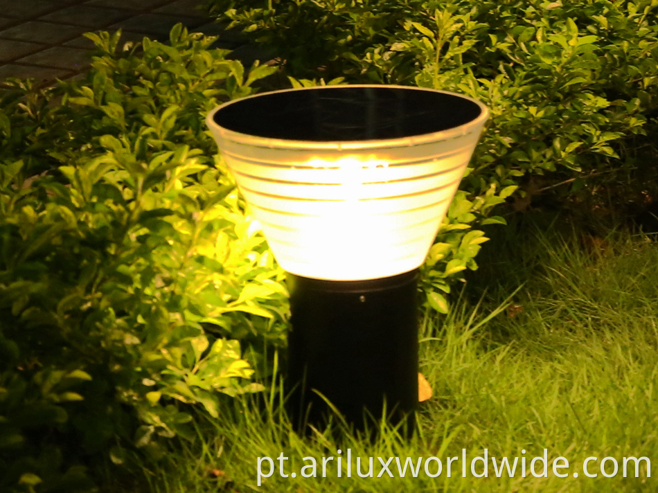 Solar Garden Lights 1